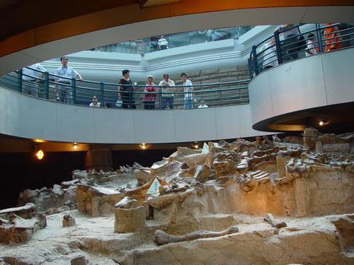 恐龙馆体验馆云阳 2742872_651507.jpg