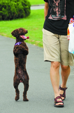 高校毕业生到北仑首次就业 最高可获8万购房补