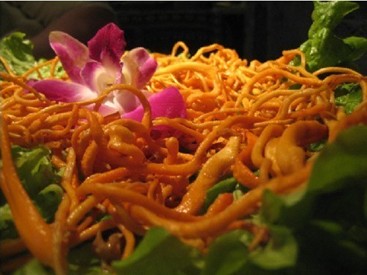 虫草花吃法有哪些?虫草花煲汤火锅流行-虫草多