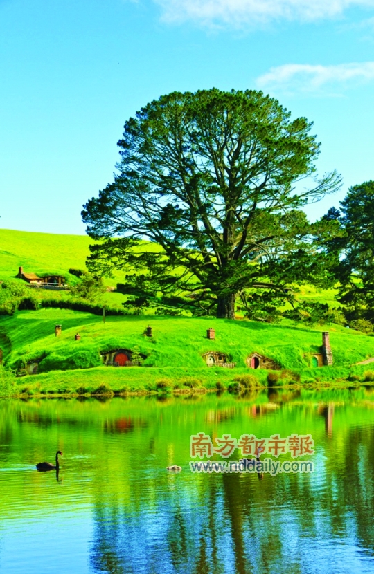 见世面新解 发达国家的少年们在玩些什么-指环