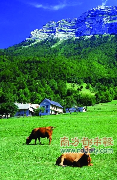 见世面新解 发达国家的少年们在玩些什么-指环