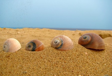 海岛的狂欢 河北昌黎翡翠岛自助游攻略-昌黎翡