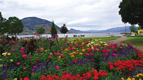 加拿大BC省的自然与生活之味-三文鱼,维多利亚