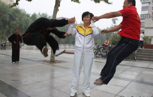 太极闫芳真假难断 武学热议波及九阴真经-九阴