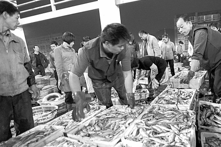 东海开渔 新鲜鱼货昨晚进路林水产批发市场-东