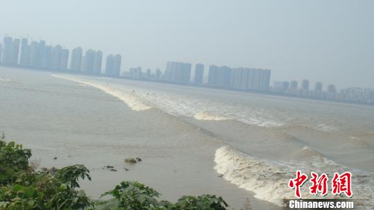 黄金周三节相逢 钱江第一潮游客创史上新高-