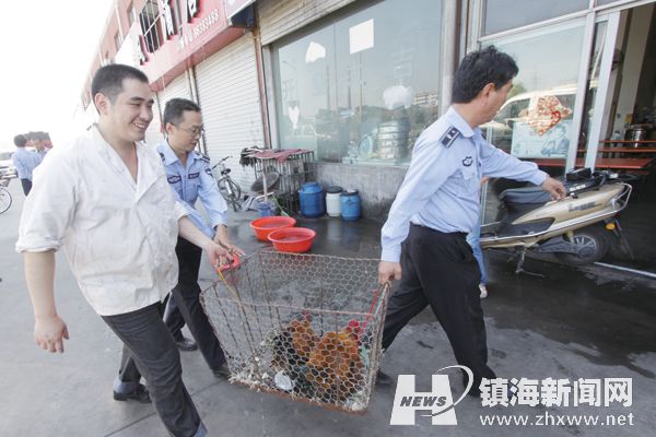 新协管员上岗-协管员,后海塘,招宝山,招收,上岗