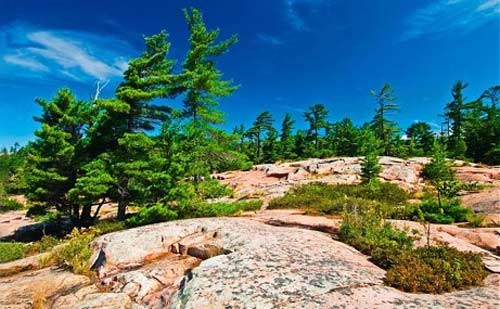 转角遇见美 加拿大超惊喜火车旅行-铁路线,太平