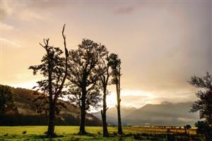 纯净新西兰摄影:纯净倒影 马瑟森湖-新西兰,iso