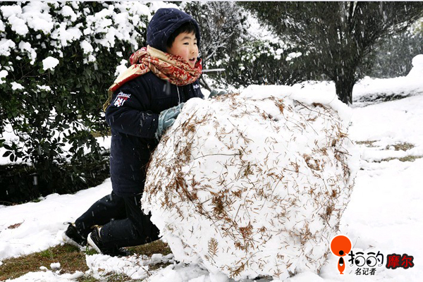 滚雪球效应--中国宁波网-i拍的