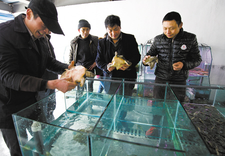 鄞奉路淡水产市场迁入新址 六大水产市场齐聚