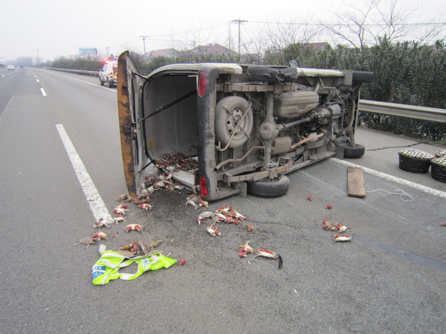 面包车爆胎侧翻 1000多斤螃蟹散落高速