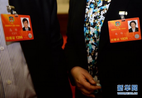 2013���Ứ����ίԱ��ײ����