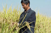 马荣荣:耕耘之美