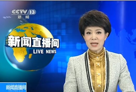 <em>央视主播</em>文静 资料照片<em>家庭</em>背景-李文静,新闻调