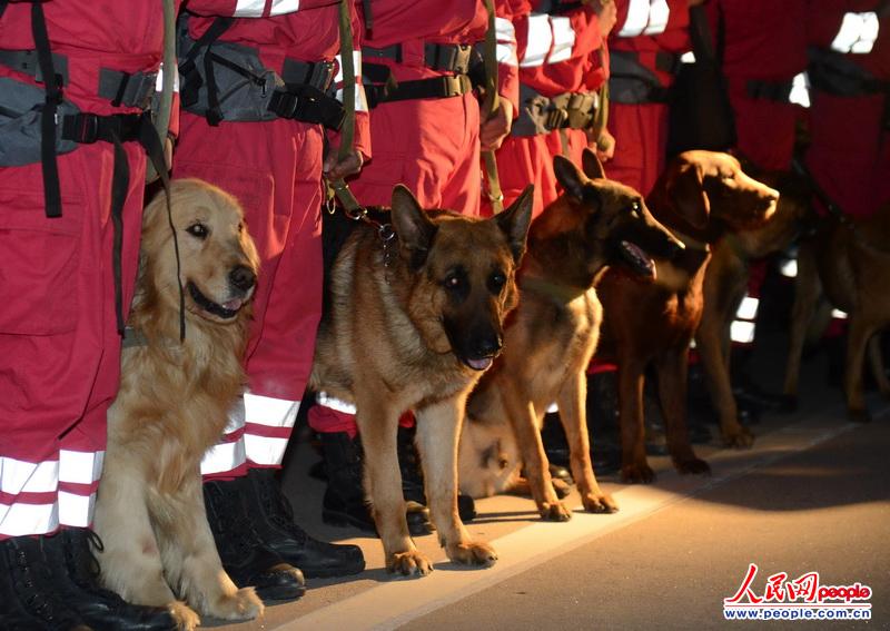 �վ�2������-76������ɸ�����