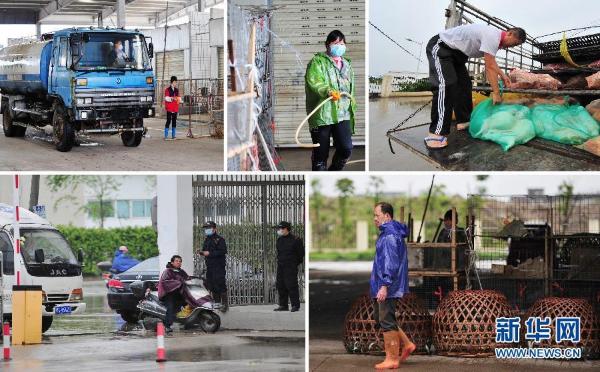 福建进一步防控H7N9禽流感