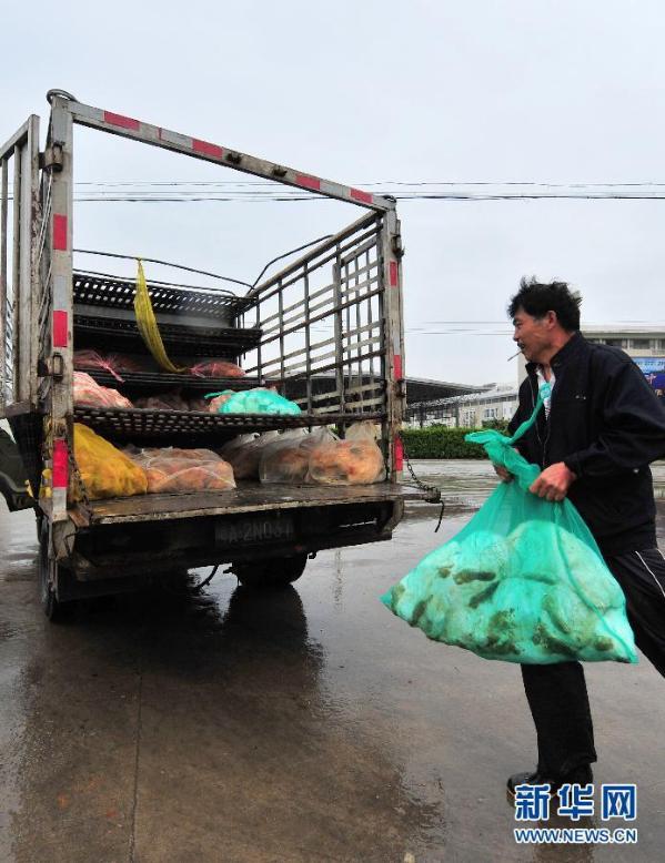 福建进一步防控H7N9禽流感