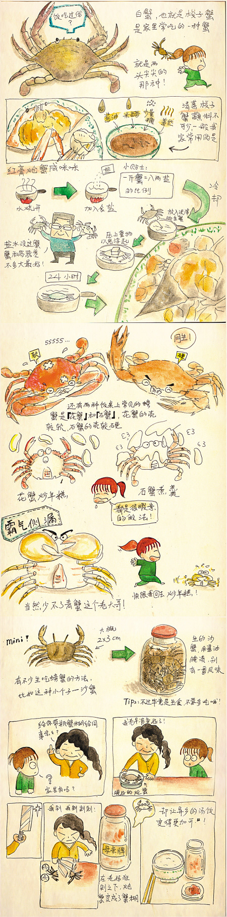 清蒸黄鱼,咸蟹泥螺 手绘宁波美食 她为家乡代言