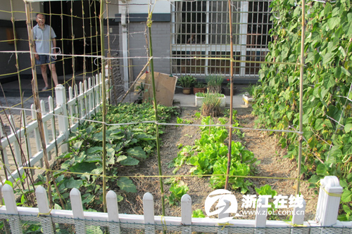 农村“变身”高档小区 村民都说“村企共建”好