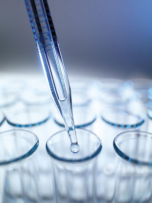 做尿常规检查,晨尿检查一切正常,下午再检查,尿