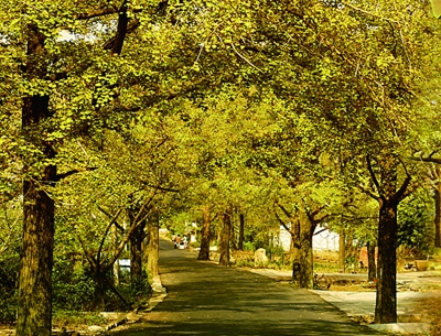 宁杭高铁串起江浙两省诸多美丽小城