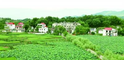 《国务院关于支持赣南等原中央苏区振兴发展的若干意见》