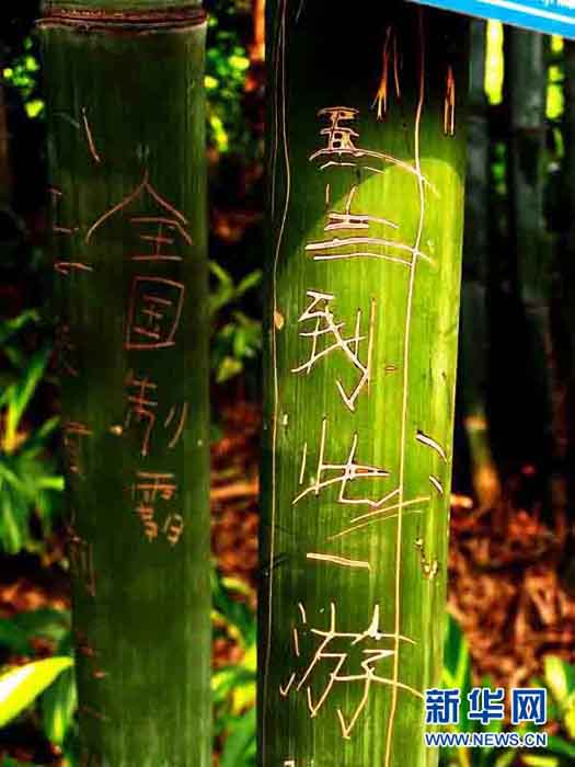 盘点中国式“到此一游”