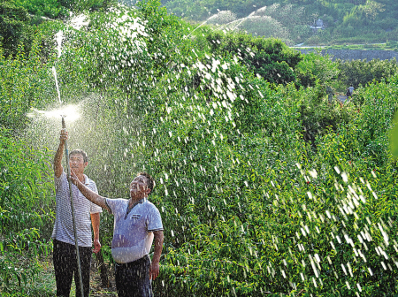 �˹�������