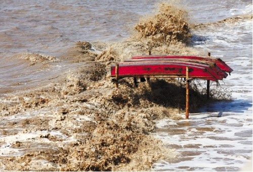 潭美挟风裹雨来袭 浙江各地做好台风防御工作