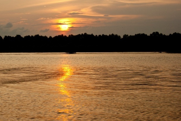 地球上也有阿凡达的美景?来沙巴看究竟