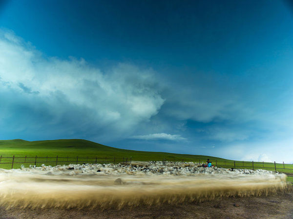 用相机记录呼伦贝尔的极致风景 -雨水,后背,我