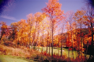 加拿大转身便是万种枫情-加拿大,千岛群岛,秋天
