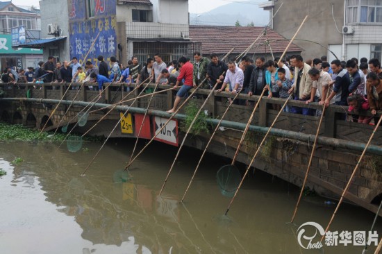 浙江余姚:台风过后生活继续 受灾群众河里捕鱼