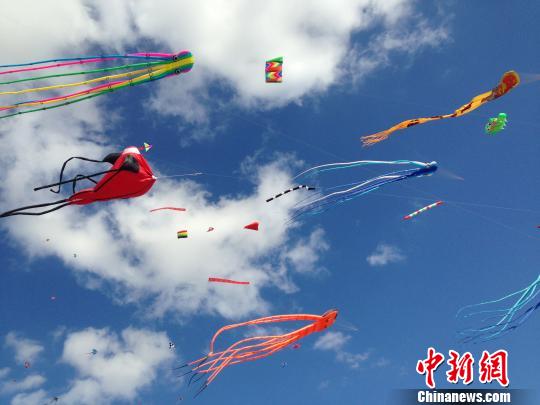舟山海岛特色风筝翱翔蓝天运动风筝让人大呼过瘾