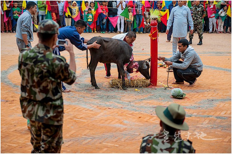 尼泊尔杜尔加祭奠实拍-加德满都,断头台,可以说