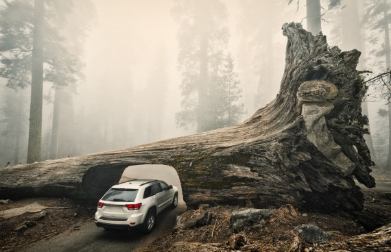 穿越奇幻地带 细数世界10条最美隧道-国家公园,格林尼治,耶路撒冷,修道院,犹他州-中国宁波网-旅游