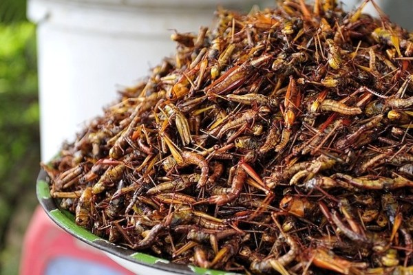 尝遍世间美食 细数全球最美味十大菜系-墨西哥