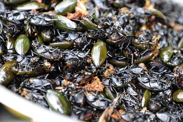 尝遍世间美食 细数全球最美味十大菜系-墨西哥