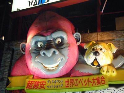 真的想做生意?11区毛骨悚然的诡异招牌盘点-大