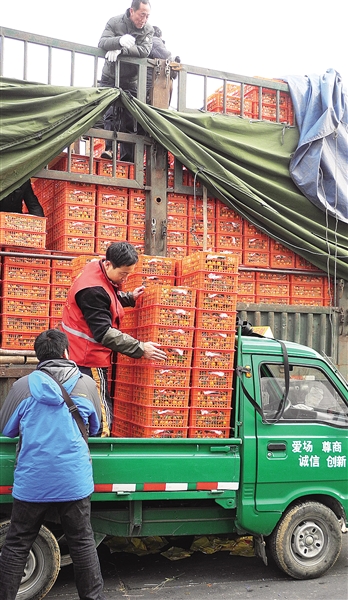 农批市场的繁忙三日