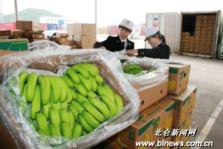 北仑进口香蕉多来自菲律宾 最近价格涨三成-进