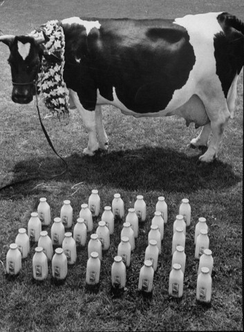 儿童奶被曝含多种添加剂 专家:3岁以下少喝-添