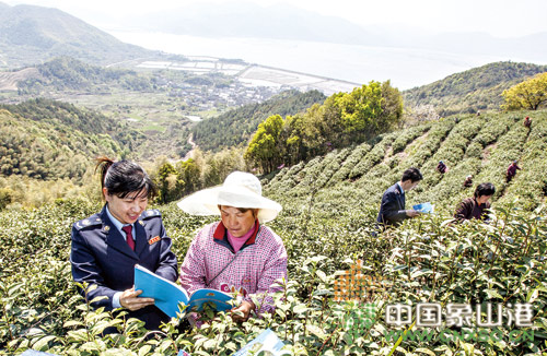 茶园里的税法讲堂-茶园,优惠政策,减免税,宣传