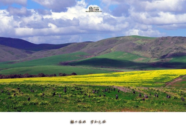 户外烧烤 既是南非人的传统又是情感纽带-开普