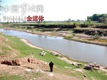南运河沿岸放羊的村民