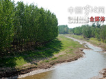 运河衡水段