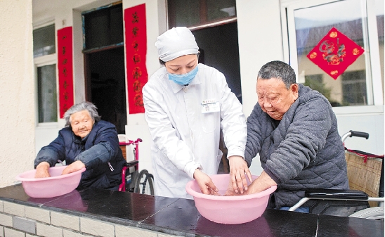 香樟树下的守望