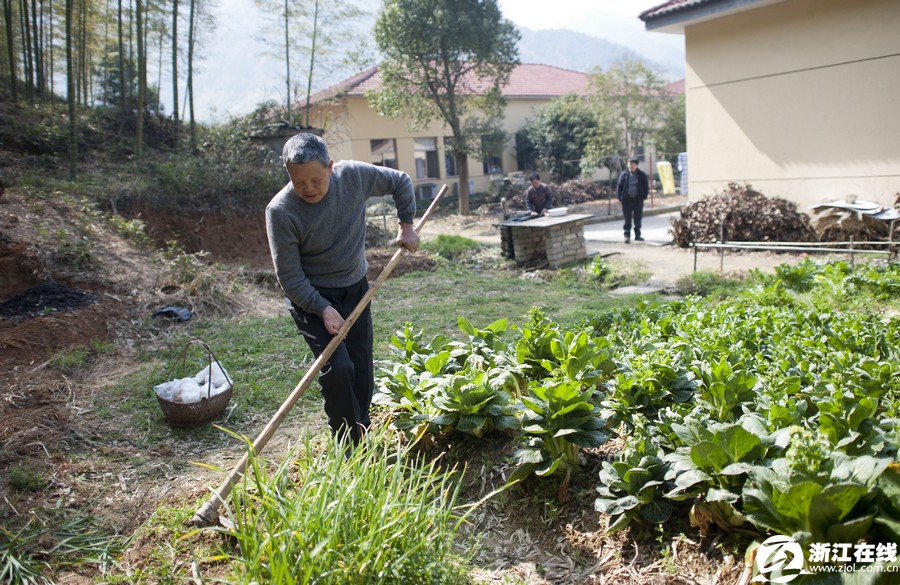 15��ҽ�ƶ��ػ�����ʮ���꣨��ͼ��