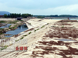泰安市东平县戴村坝雄姿